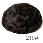 210# / 120% / 6 inches|8x10|free