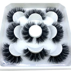 5pairs-ML84