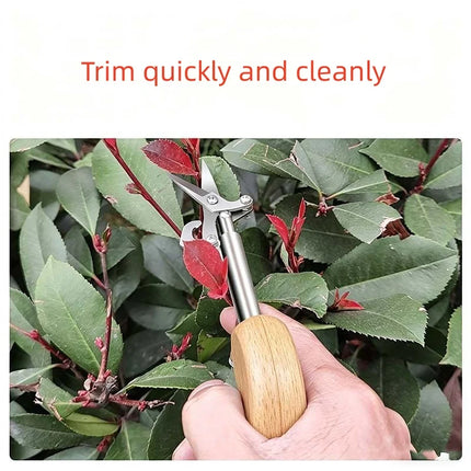 New Professional Garden Picking, Flower Pruning, and Pruning Stainless Steel Sharp Scissors