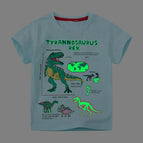 6023Luminous / 5Y