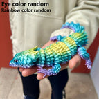 Random Rainbow / 23.5cm 9.25in