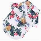 White Pineapple / S