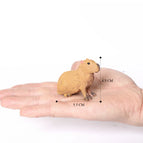Capybara-4