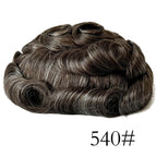 540# / 120% / 6 inches|8x10|free