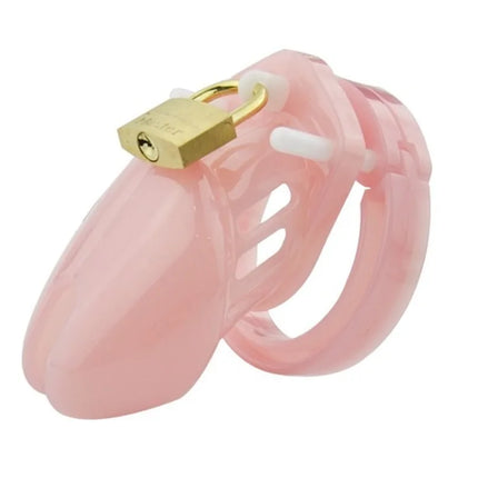 2 Size Male Chastity Cage Device Small/Standard Cock Cage with Rings Erotics Urethral Brass Lock Locking Sex Toys for Men Adults