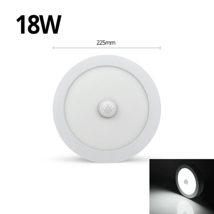 18W 12W 6W Night light LED Ceiling Lamp With Motion Sensor PIR Corridor Bedroom Toilet Lights lampe 85-265V Human Body Induction