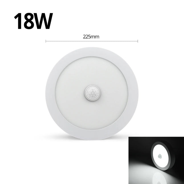 18W 12W 6W Night light LED Ceiling Lamp With Motion Sensor PIR Corridor Bedroom Toilet Lights 85-265V Human Body Induction