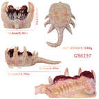 6257 / China Mainland