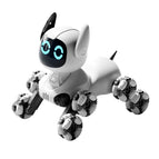 YGrey-RC and Gesture