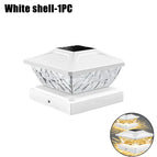 White Shell-1PC