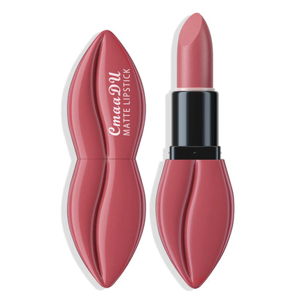 10 Colors Lip Shape Matte Lipstick Velvet Lip Gloss Long Lasting Waterproof Lip Makeup Set For Women Girls Fashion Cosmetics