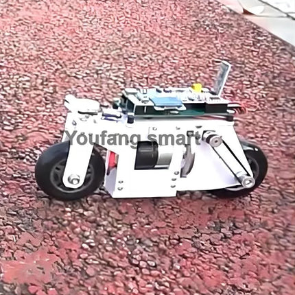 2WD RC Balance Bike Cubli Self-Balancing Flywheel 3D Printing APP Control DC Motor Motorcycle for STM32 Programmable Robot Car