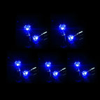 5pair blue