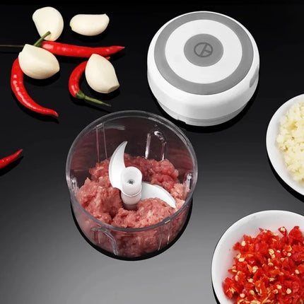 Electric Mini Garlic Chopper 100ML/250ML Food Chopper Garlic Mincer USB  Portable Small Food Processor for Vegetables