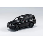 LC300 Black Right
