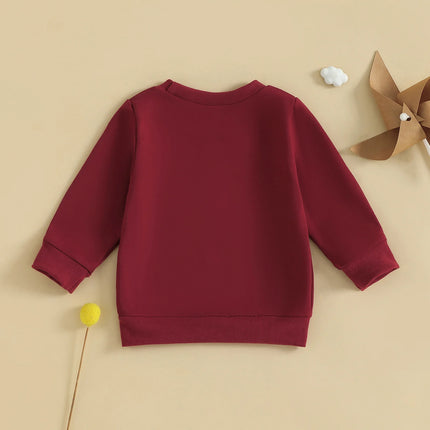 Spring Autumn Toddler Kids Baby Girls Boys Sweatshirts Letter Embroidery Round Neck Long Sleeve Casual Pullover Tops