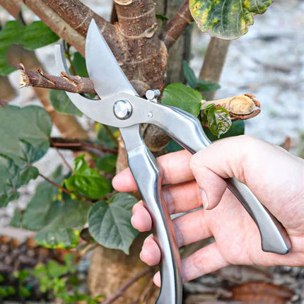 All Stainless Steel Professional Gardening Pruning Shears, Suitable for Pruning Tree Branches, Picking Fruits, and Greening Main