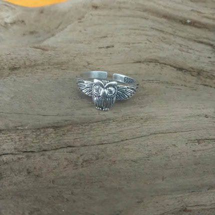 Buyee 925 Sterling Silver Fashion Ring Finger Elegant Owl Ring for Women Excellen Party Fine Jewelry Circle Gift with Box
