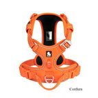 cordur-ORANGE / XS / China Mainland