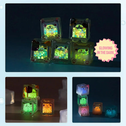 Glow in The Dark Figure, Square Cat Series Blind Bag (5pcs in one Bag) Mini Figures for Cat Lovers Birthday Gift