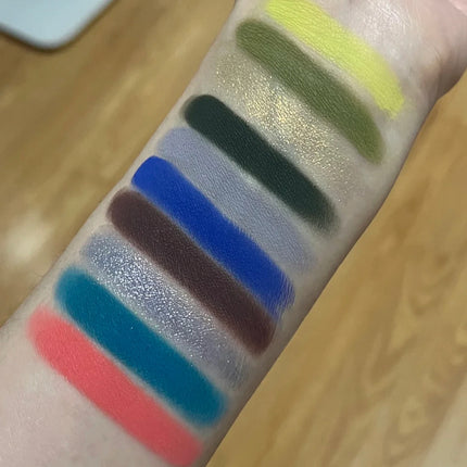 DRAMO 10 Colors Eye Shadow Palette Matte Glitter Eyeshadow Pigments Waterproof Earth Color Shimmer chameleon Cosmetics
