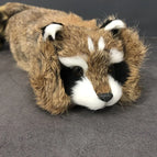 Raccoon