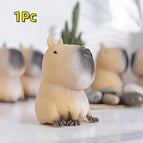 1Pc