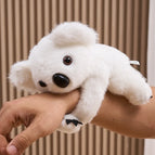 White Koala