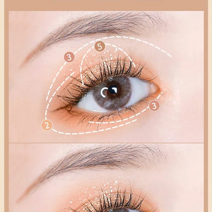 Butterfly Eye Shadow Six Color Eyeshadow Palette Easy to Color Glitter Matte Makeup Make-up For Women Korean Cosmetics Makeup