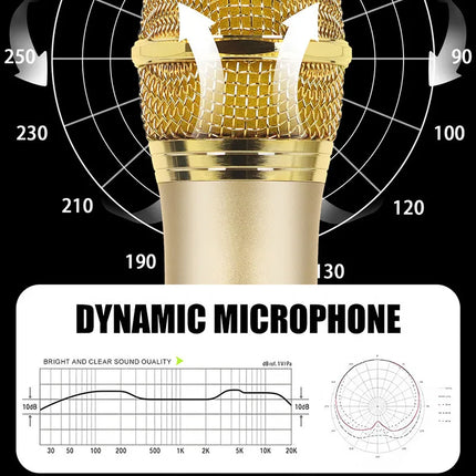 Lenovo Wireless Microphone 2.4G UHF Fixed Frequency 2 Channels Handheld Micphone For Live Party Karaoke Professional Meeting