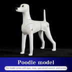 Only Poodle model / China Mainland