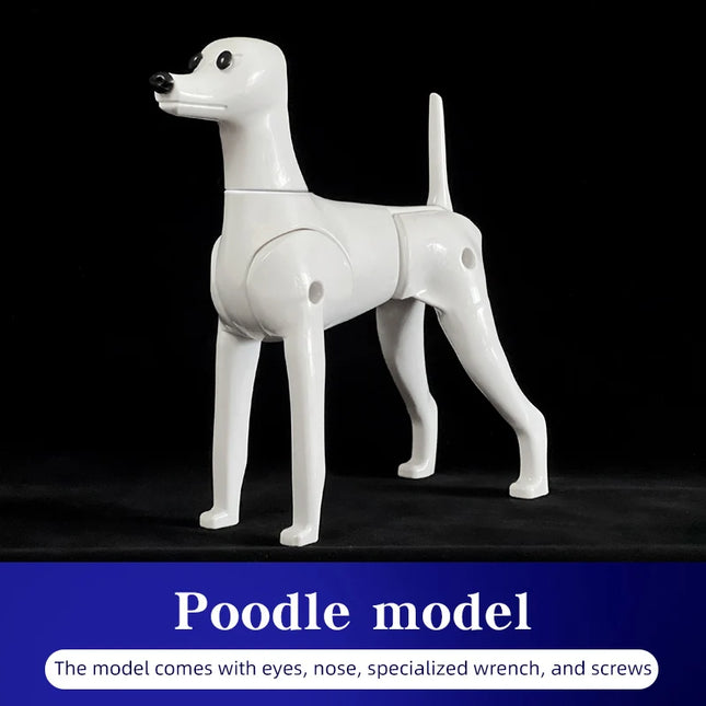 Poodle dog pet professional beauty simulation wig model practice special skeleton environmentally friendly PE material
