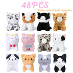 48PCS / China Mainland