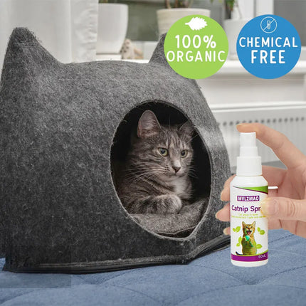 Catnip Spray for Cats, Cat Scratching Spray to Boost Play, Calm Stress & Renew Toys, Transparent Cat & Kitten Behavior Spray 60 ml
