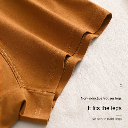 Luxury Men Underpants Man Cotton Breathable Comfortable Boxer Selling Shorts Men's Panties Plus Size Panties Underwear Gift