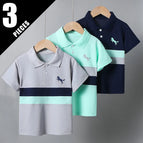 3pcs-ht-polo-ma / 100