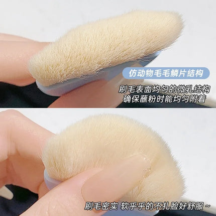 6pcs  Mini Makeup Brush Set Professional Portable Foundation Concealer Eyeshadow Powder Blush Brush Beauty Makeup Tools