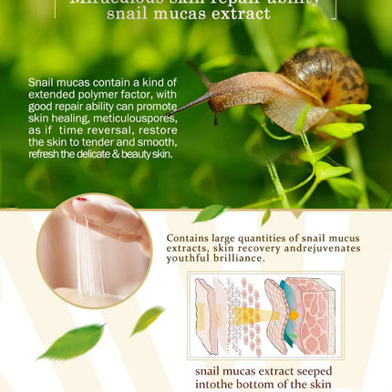 ARTISCARE Snail Face Cream + Peptide Eye Roller + Golden Eye Cream 3Pcs for Facial Moisturizing Serum Dark Circles Eye Care