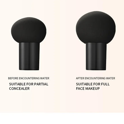 Mushroom Head Air Cushion CC Cream Foundation Concealer Oil-control BB Cream Whitening Face Base Makeup Cosmetics Moisturizing
