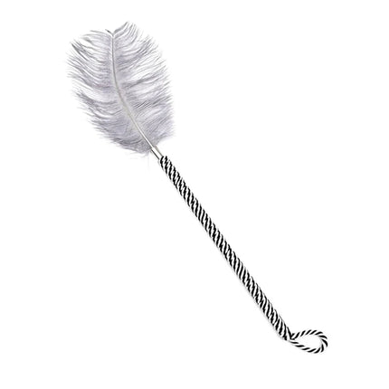 [YA]Flirting Clitoris Tickle Feather Erotic Whip Spanking Adult Sex Toys For Women Product Teasering Nipple Erotic Accessory