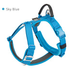 Sky Blue / L