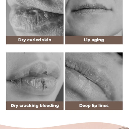 BEAUTY GLAZED 4Color Lipgloss Lip Oil Teens Moisturizing Lipstick Lip Balm High Shine And Lip Gloss Long-Lasting Dry Lip Care