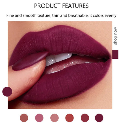 6 Pcs Matte Velvet Nude Lipstick Set Waterproof Long Lasting Red Brown Pigments Makeup For Sexy Lips Professional