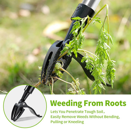 4-Prong Weeder with Long Handle,Durable Stainless Steel, Ergonomic Grip for Easy Weeding, No Bending or Kneeling Needed