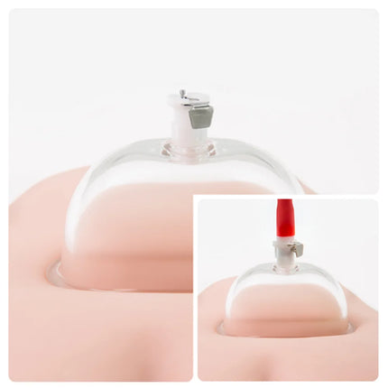 Female Sucker Cup Accessories Vacuum Pump Clitoris Stimulator Pumps Nipple Clit Stimulator Orgasm Massage Breast Enlargement Cup