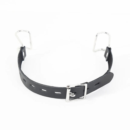 Stainless Steel Spider Ring Gag BDSM Bondage,Nose & Mouth Hook Spreader Leather Head Harness ,Sex Toys For Couples Restraints