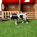 Texas Bulls-1
