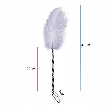 Sexy Flirting clitoris Tickle feather Erotic Whip Spanking SM Adult Sex toys for Women slave Teasering Nipple Fetish Accessory