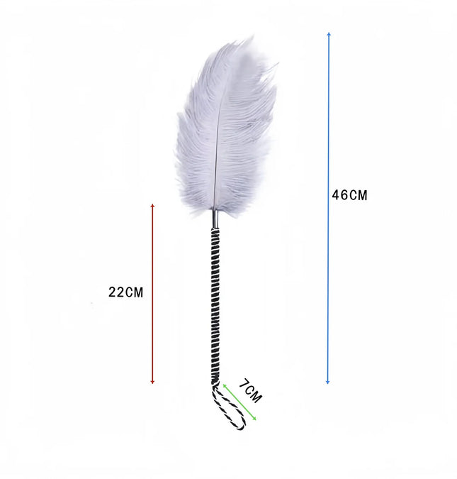 Sexy Flirting clitoris Tickle feather Erotic Whip Spanking SM Adult Sex toys for Women slave Teasering Nipple Fetish Accessory