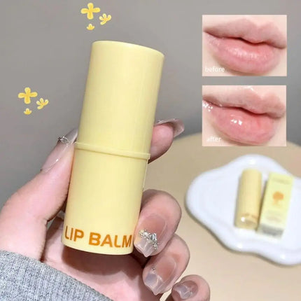 Grape Jasmine Flavors Moisturizing Hydrating Base Lip Balm Set Makeup Lip Care Daily Care Balm For Women and Men